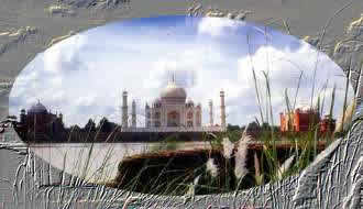Taj Mahal 