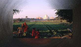 Taj Mahal 