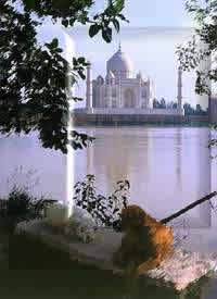 Taj Mahal - architectural wonder