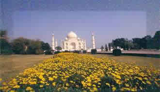 Taj Mahal -- the water devices