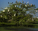 Wildlife Sanctuary